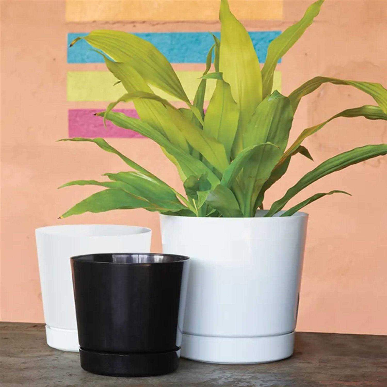 Novelty Full Depth Round Cylinder Pot - Image 4