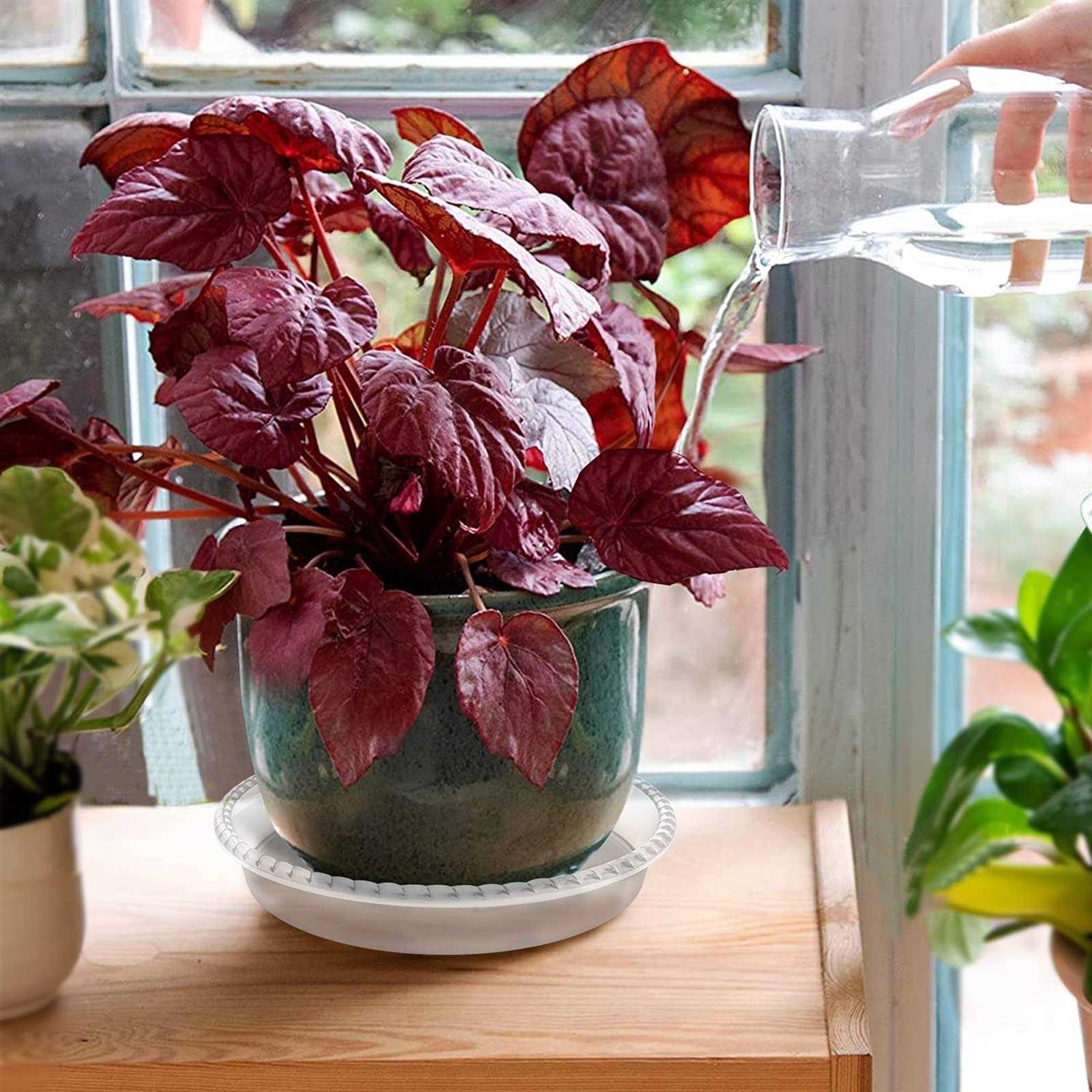 FUTED 6 Pack Plant Saucer 14 16 18 inch Durable Plastic Plant Trays for Indoor - Image 3