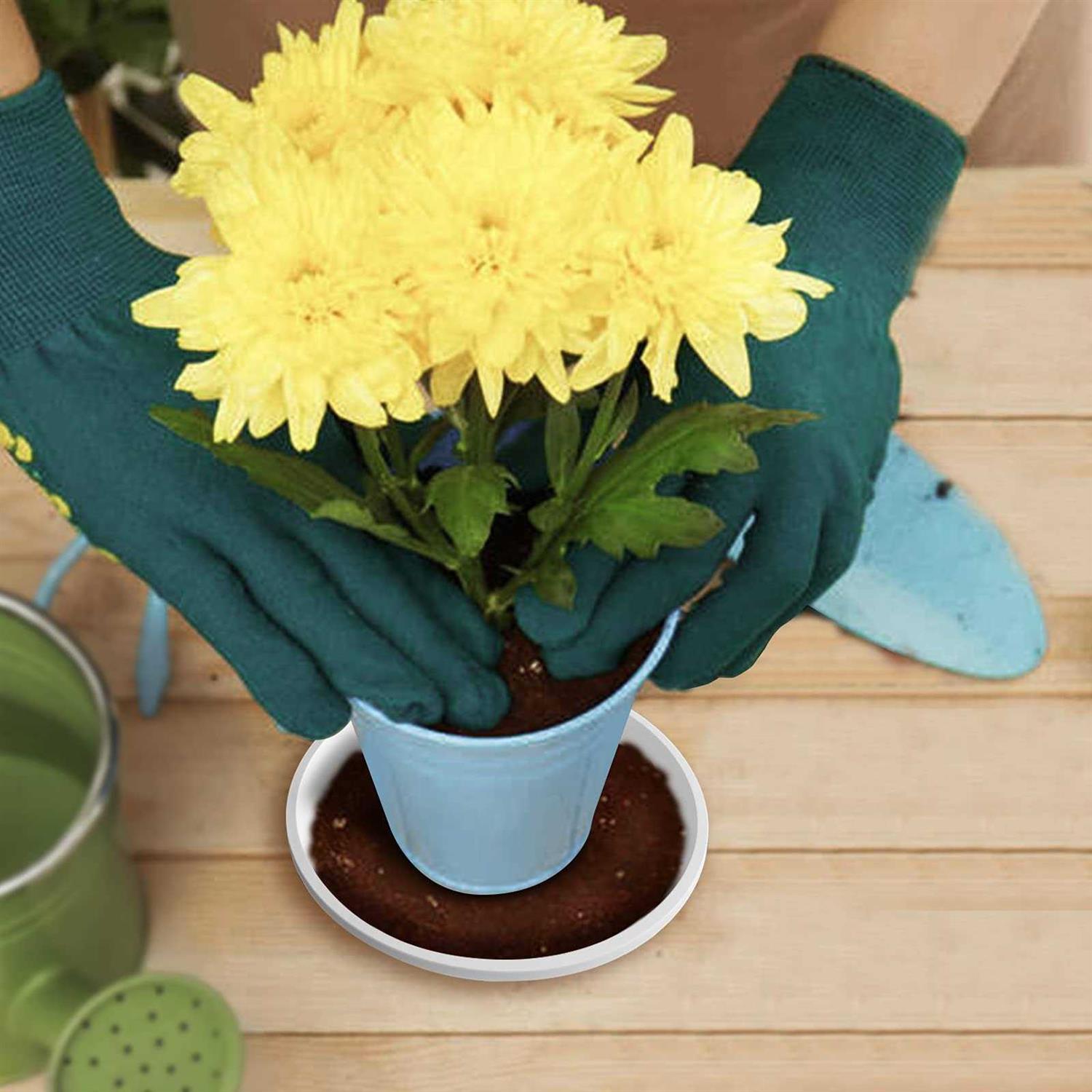 FUTED 6 Pack Plant Saucer 14 16 18 inch Durable Plastic Plant Trays for Indoor - Image 5