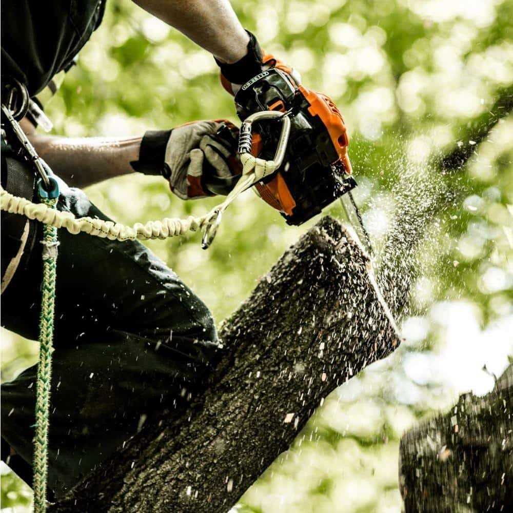 Echo Bar Chainsaw - Image 4