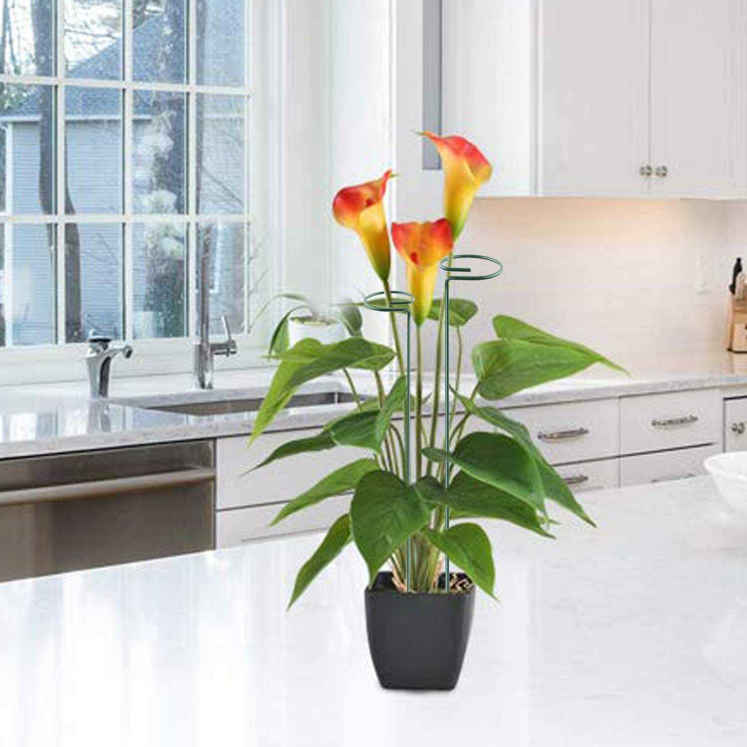 Plant Stake Support 6 Pack Garden Single Stem Support Stake Plant Cage Support Rings - Image 3