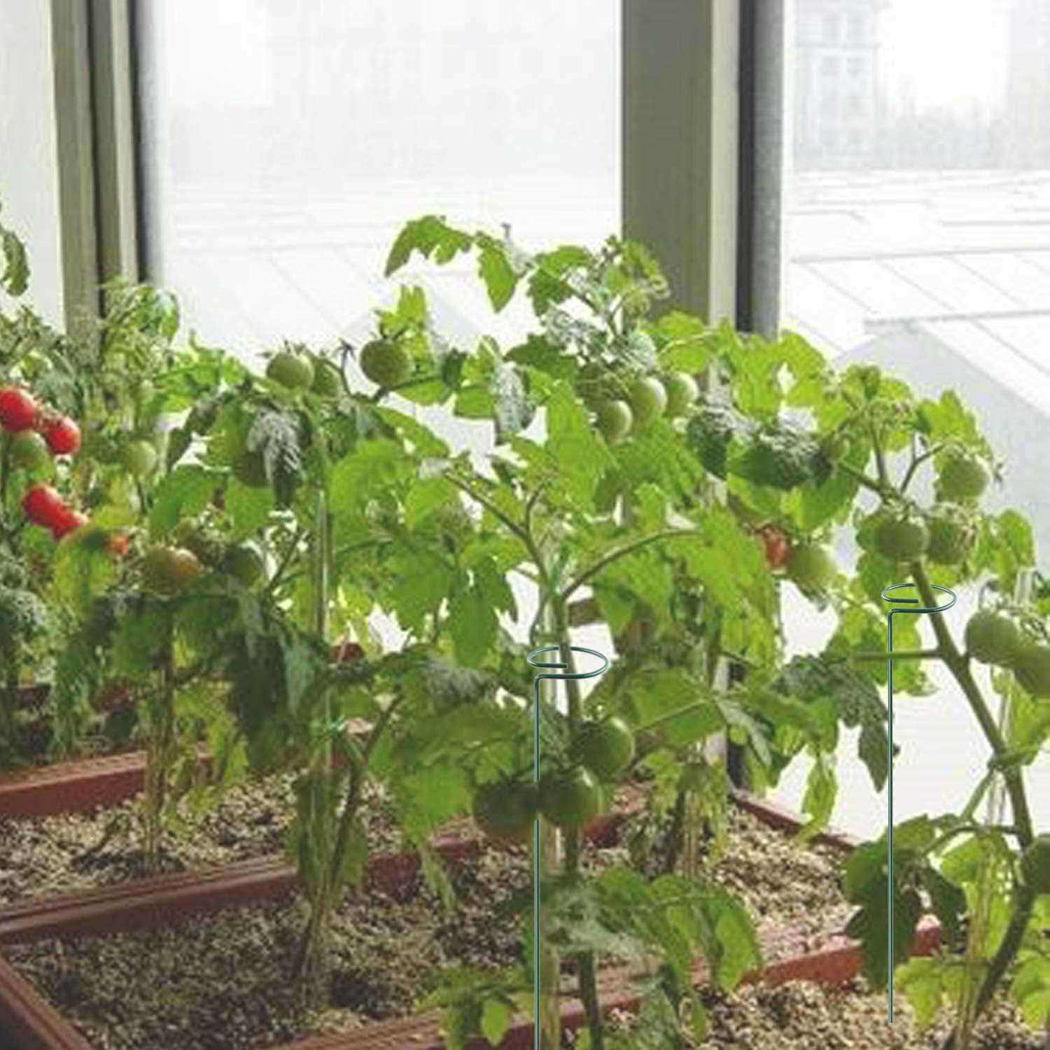 Plant Stake Support 6 Pack Garden Single Stem Support Stake Plant Cage Support Rings - Image 5