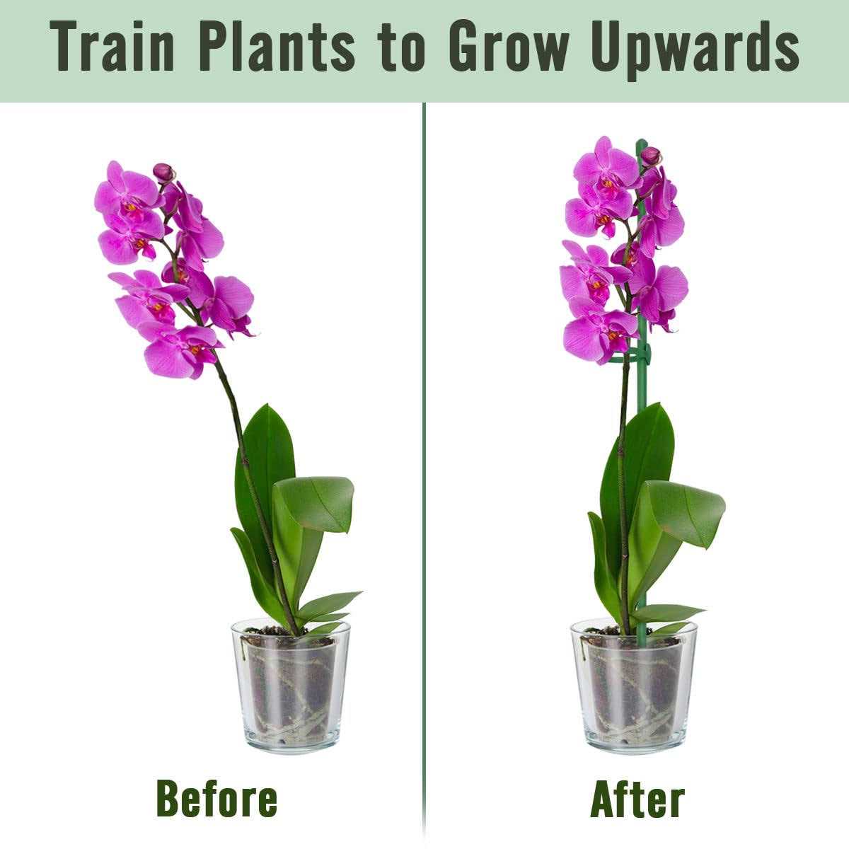 Plant Stakesgreen Plant Sticks Supporthounang Fiberglass Garden Plant Support Stakes for Potted Plants and Indoor Plants - Image 3