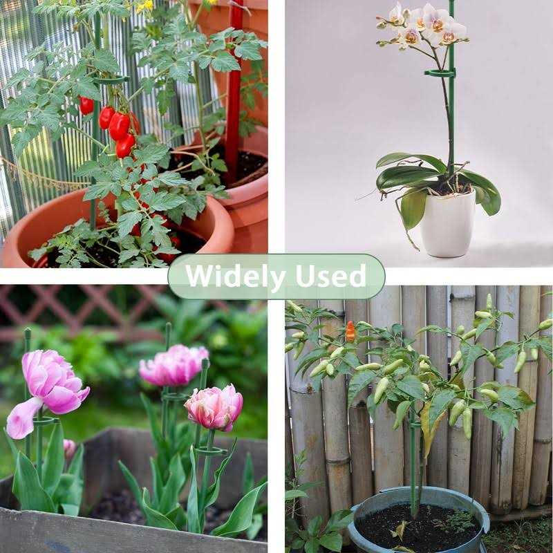 Plant Stakesgreen Plant Sticks Supporthounang Fiberglass Garden Plant Support Stakes for Potted Plants and Indoor Plants - Image 4