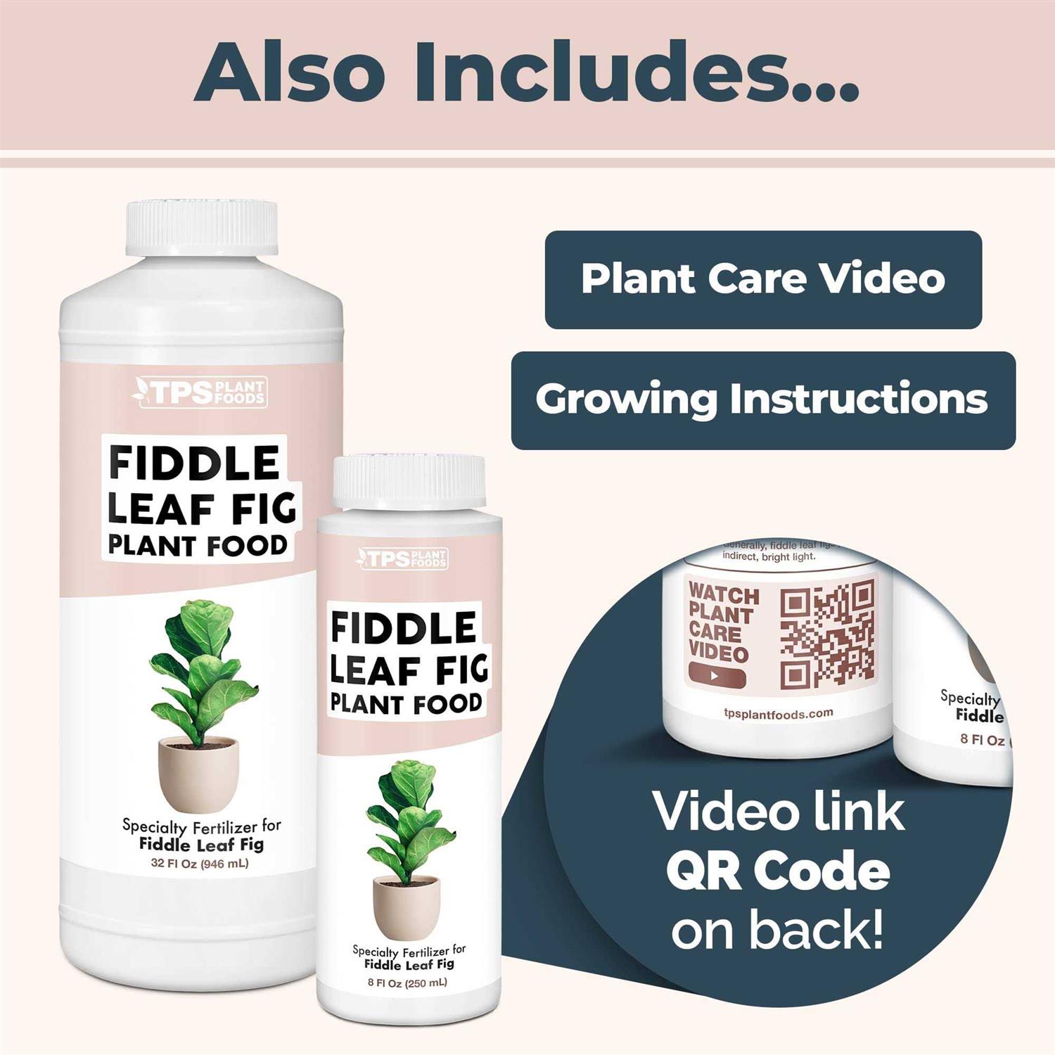 Fiddle Leaf Fig Plant Food for All Fig and Other Ficus Trees - Image 5