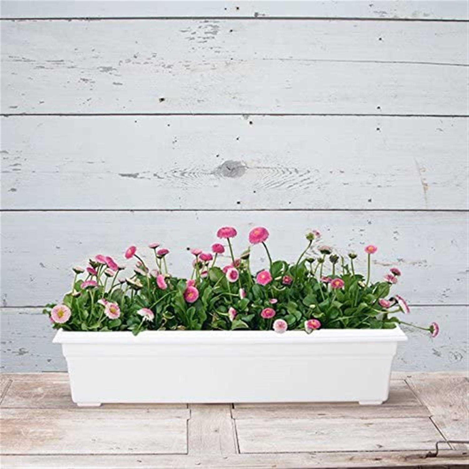 Novelty Countryside Flower Box Planter - Image 4
