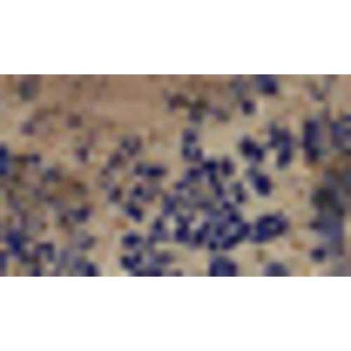 Nearly Natural 10 Tuscan Ceramic Rectangle Planter - Image 4