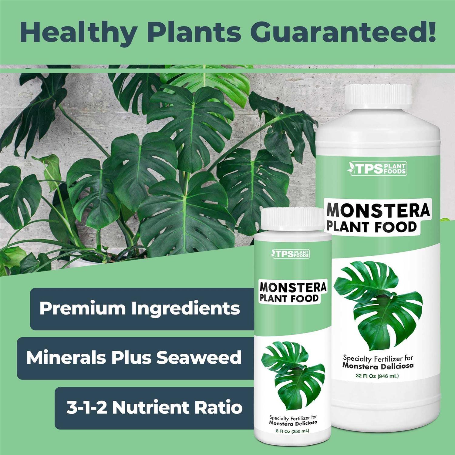Monstera Plant Food for Monsteras and Philodendrons - Image 3