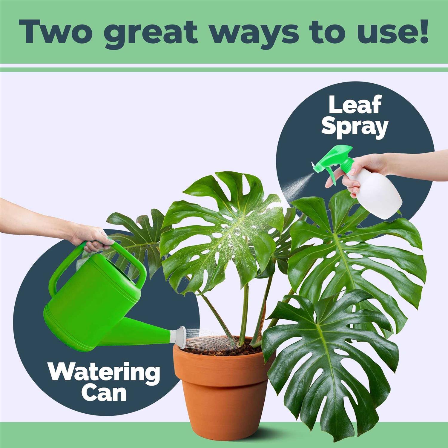 Monstera Plant Food for Monsteras and Philodendrons - Image 4