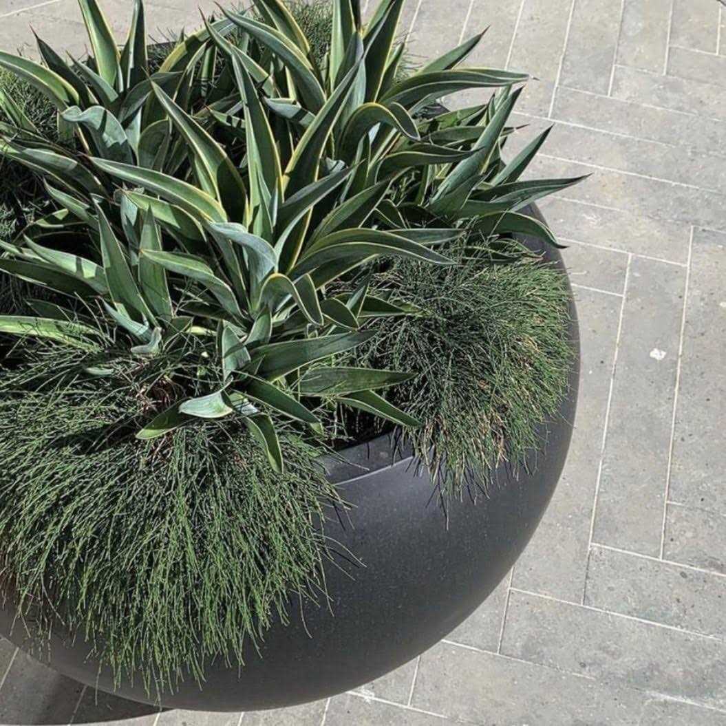 Dty Signature Mount Sherman 1-Piece Fiberstone Planter - Image 4
