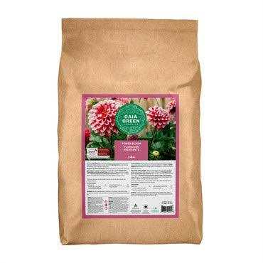 Gaia Green Power Bloom - Image 3