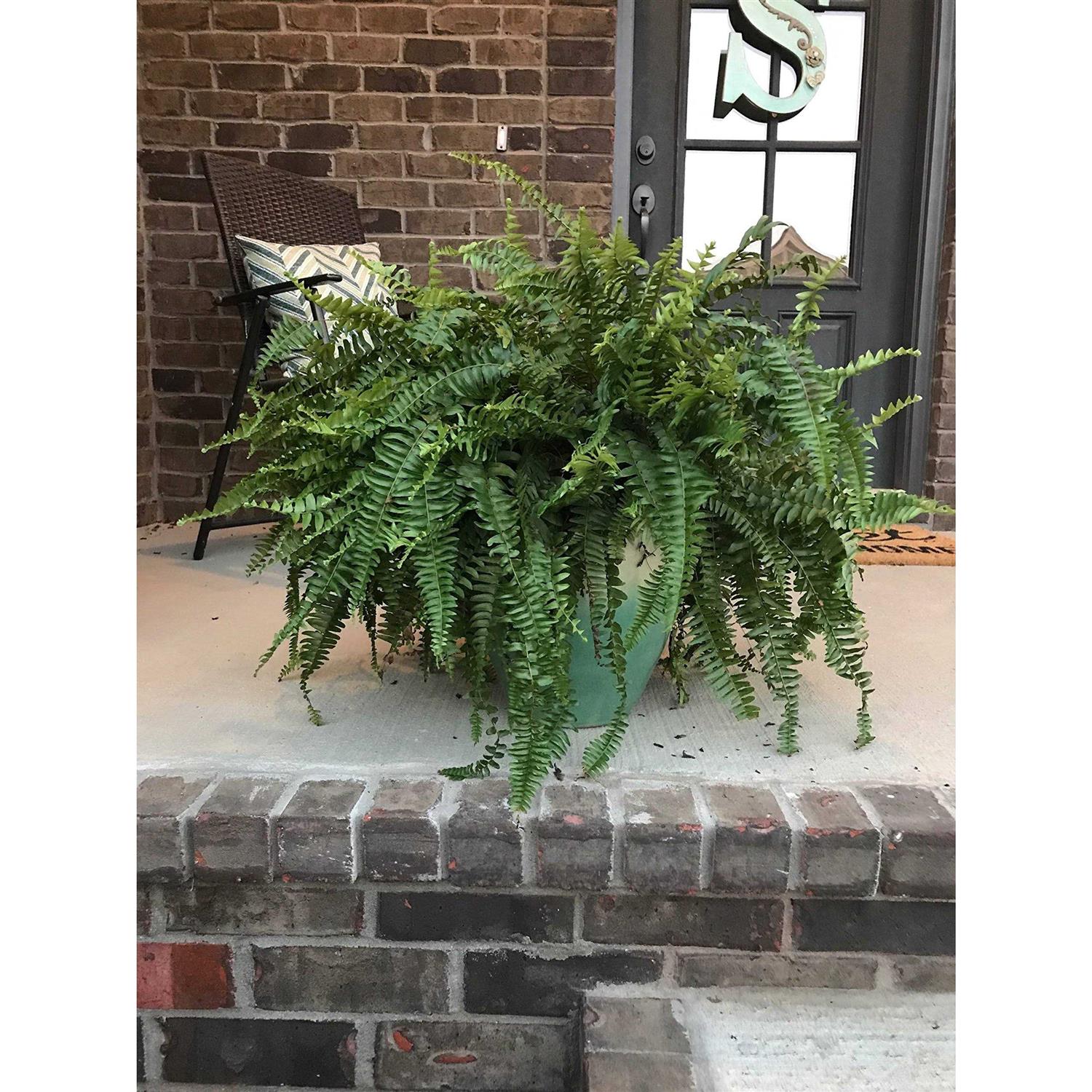 Frost Armor Bags 2 Pack - Image 3