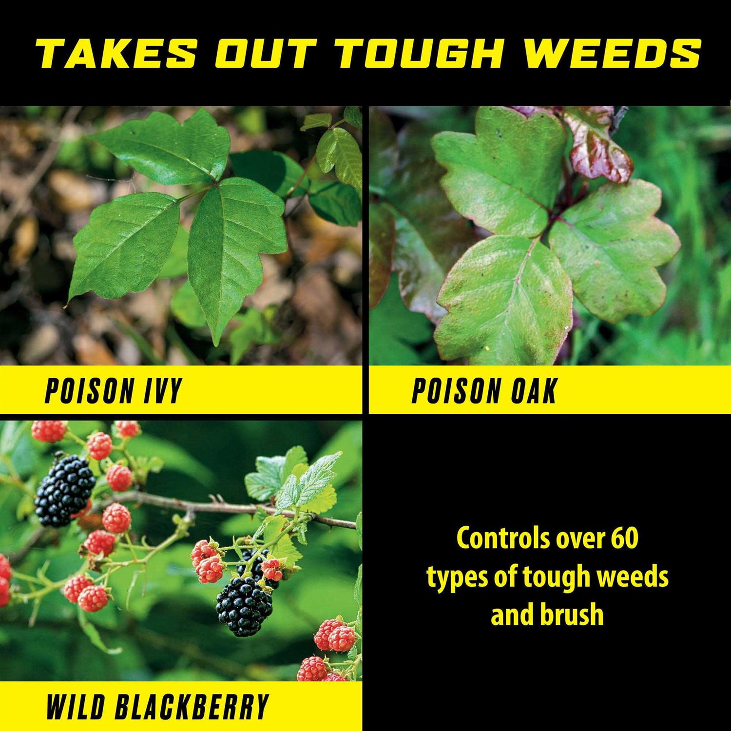 Ortho GroundClear Poison Ivy & Tough Brush Killer - Image 3