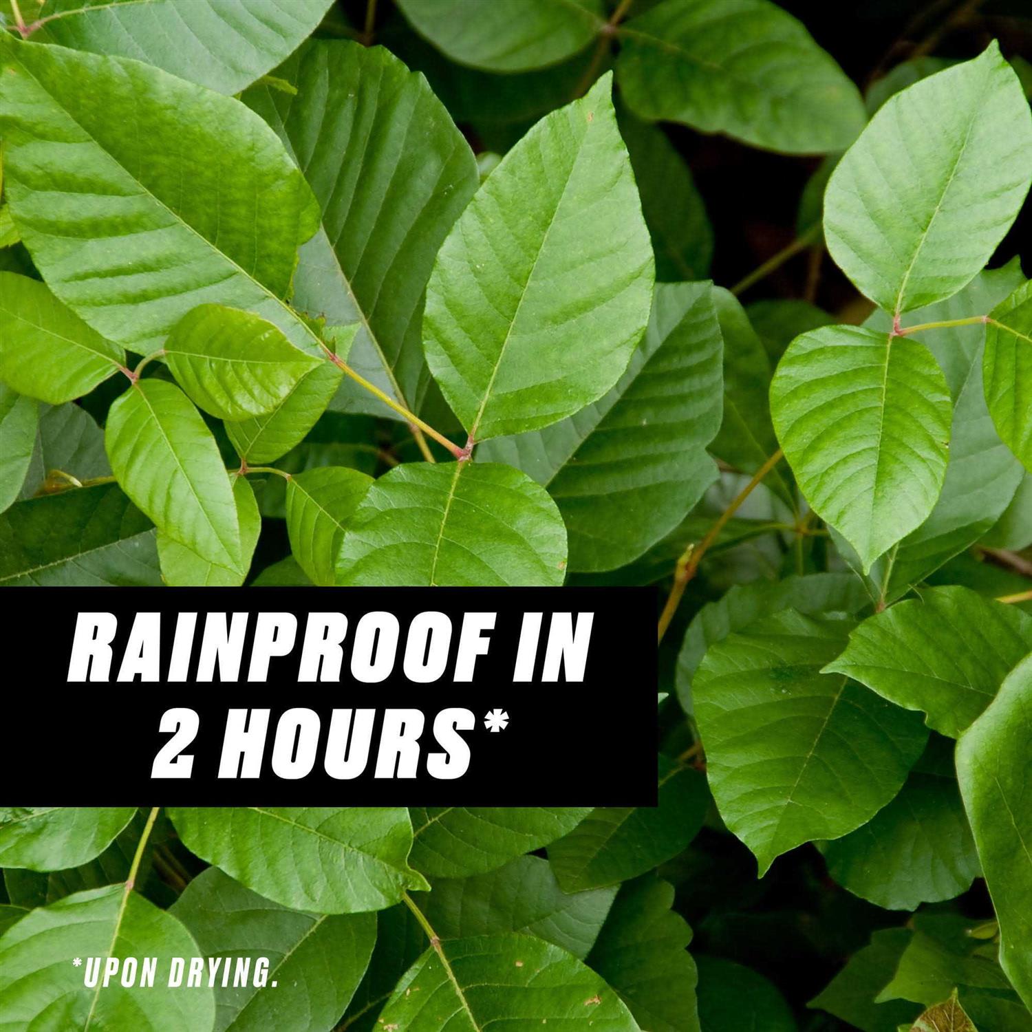 Ortho GroundClear Poison Ivy & Tough Brush Killer - Image 4