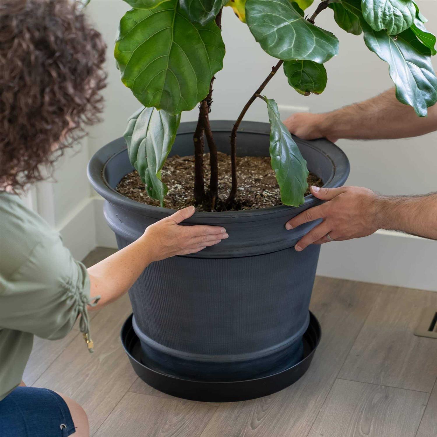 Garden Hour The Perf Garden Hour 2 Plant Saucers for Potted Plants - Image 4