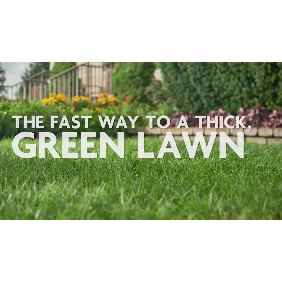 Miracle Gro Water Soluble Lawn Food - Image 5