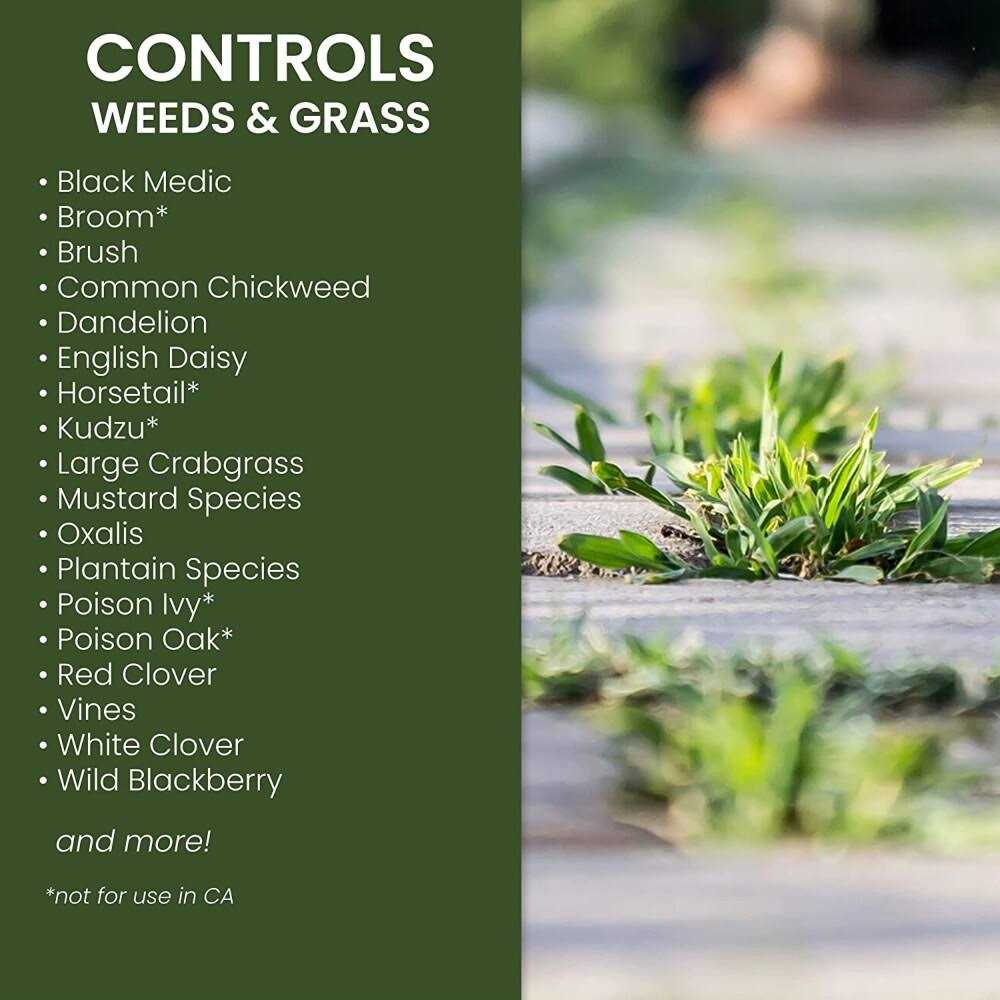 Natria Grass & Weed Control - Image 3