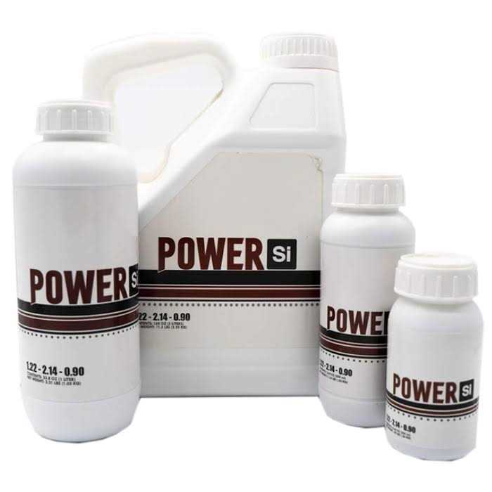 Power Si Original - Image 4