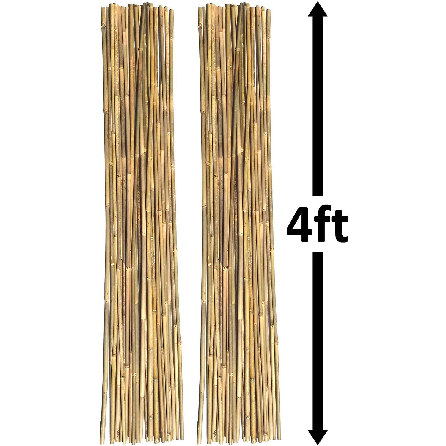 Dlh Western Natural Bamboo Poles Eco-Friendly Plant Support Garden Stakes Long - Image 3