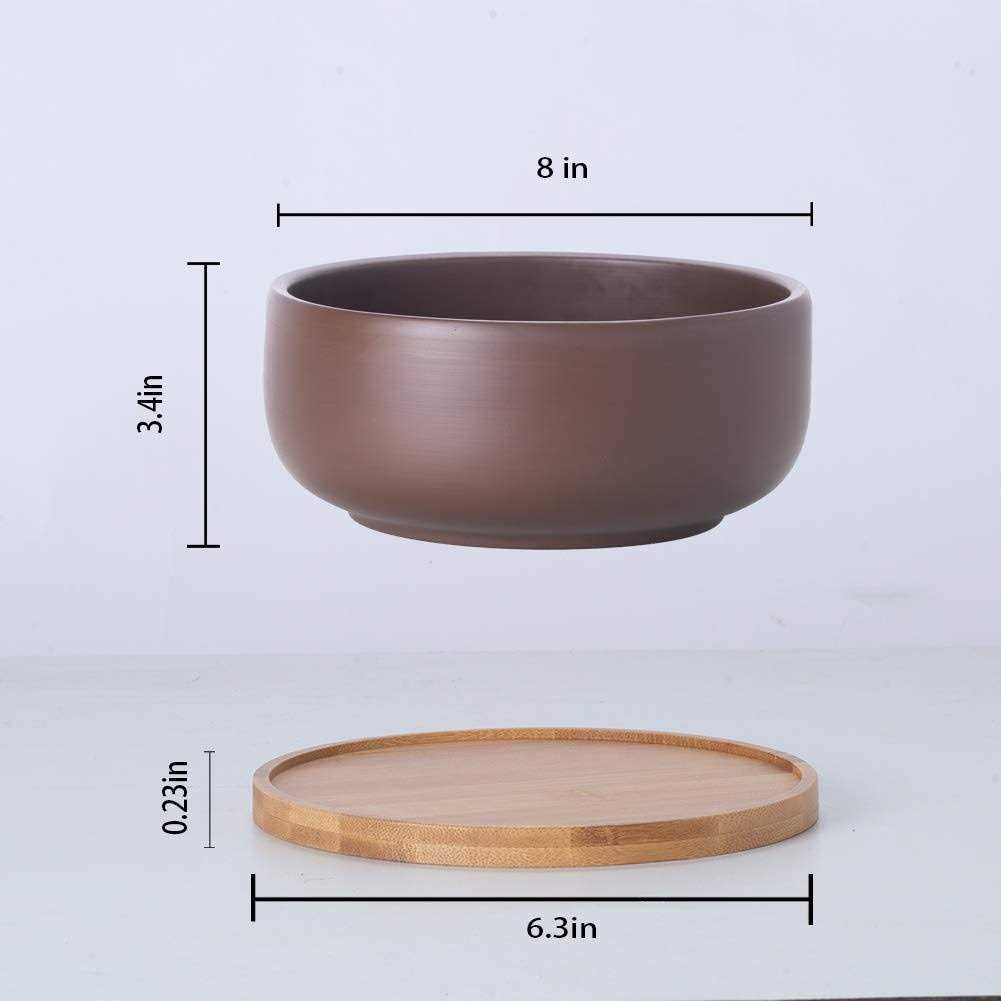EPFamily Terracotta Shallow Succulent Planter, 8 Inch Planter Pot with Bamboo Tray, Clay Flower Pot Indoor and Outdoor Planter with Drainage - Image 3