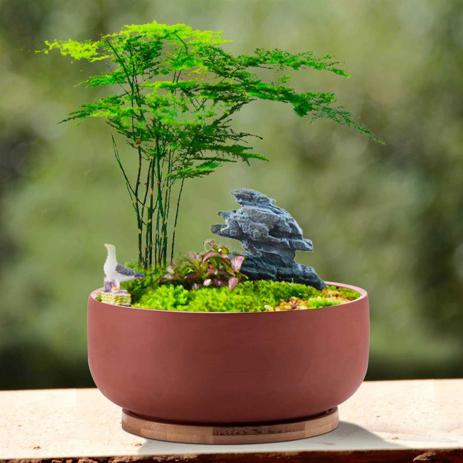 EPFamily Terracotta Shallow Succulent Planter, 8 Inch Planter Pot with Bamboo Tray, Clay Flower Pot Indoor and Outdoor Planter with Drainage - Image 5