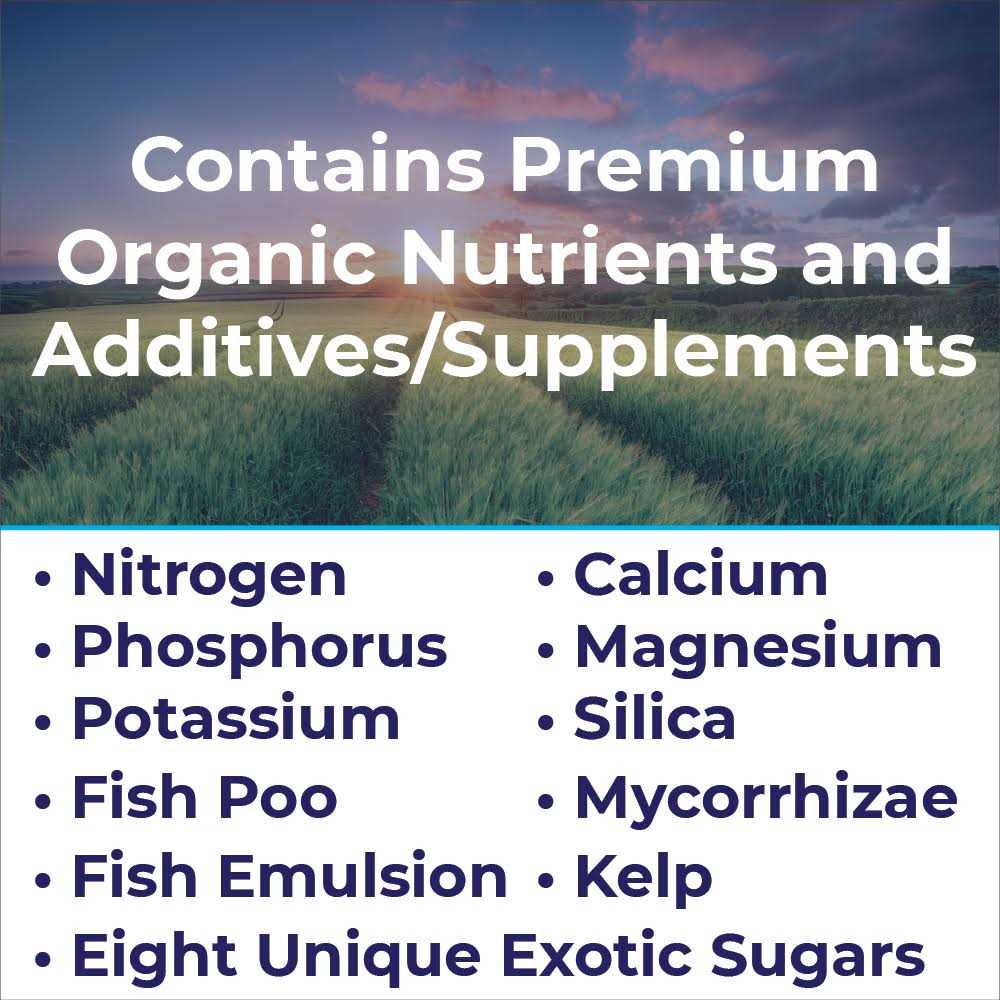 FOOP Canna Starter Pack - Image 3