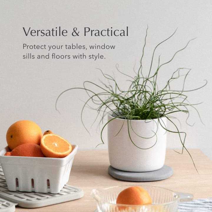 Dorai Home Plant Saucer Set of 2 - Image 3
