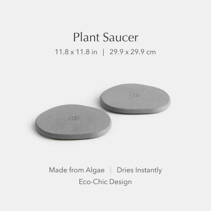 Dorai Home Plant Saucer Set of 2 - Image 4