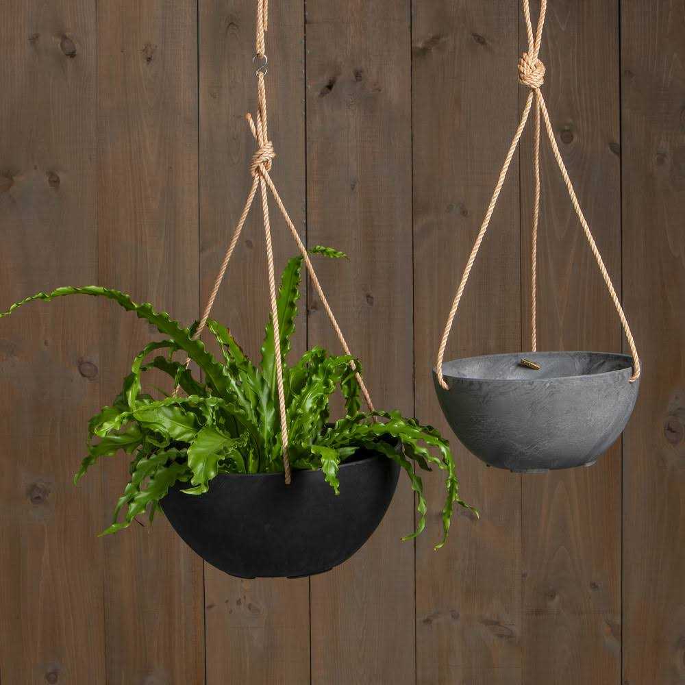 Novelty Napa Hanging Bowl Planter - Image 3