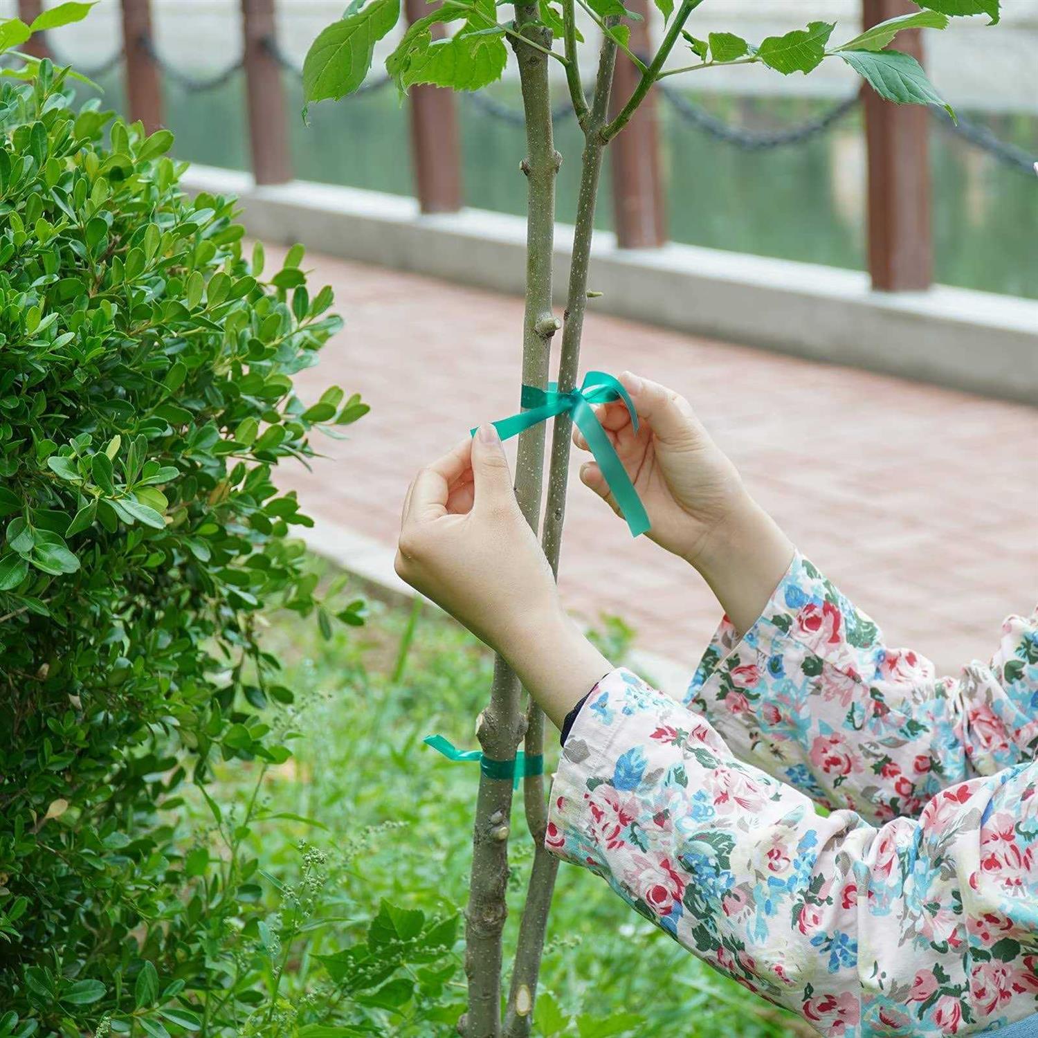 feitengda PVC Garden Tie Tape Stretch Tie Tape Reusable Plant Ties Tapes Plant Ribbon Vinyl for Indoor Outdoor Patio Plant 2 Rolls 147 Feet - Image 4