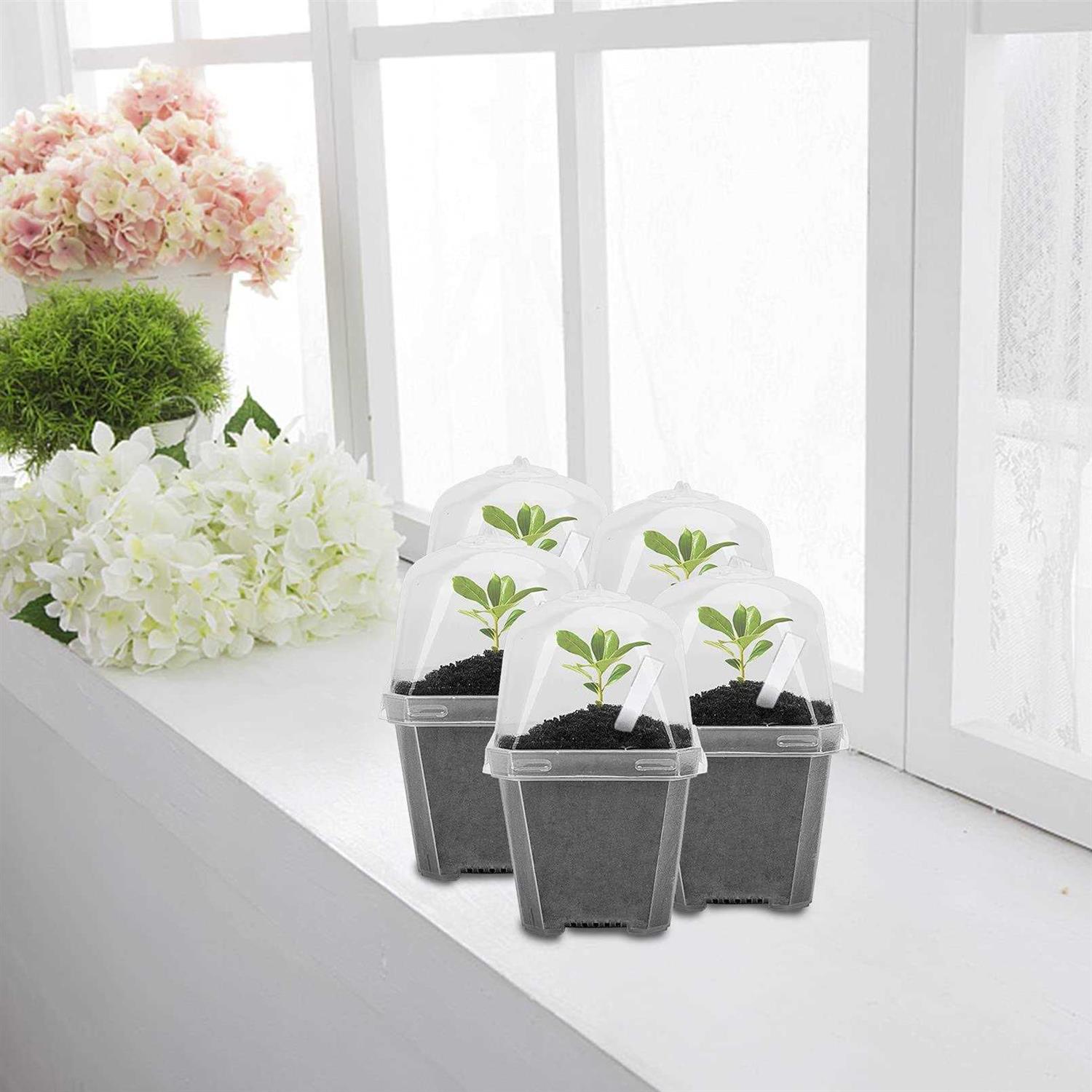 EBaokuup 10PCS Clear Plant Nursery Pots with Humidity Dome - Image 3