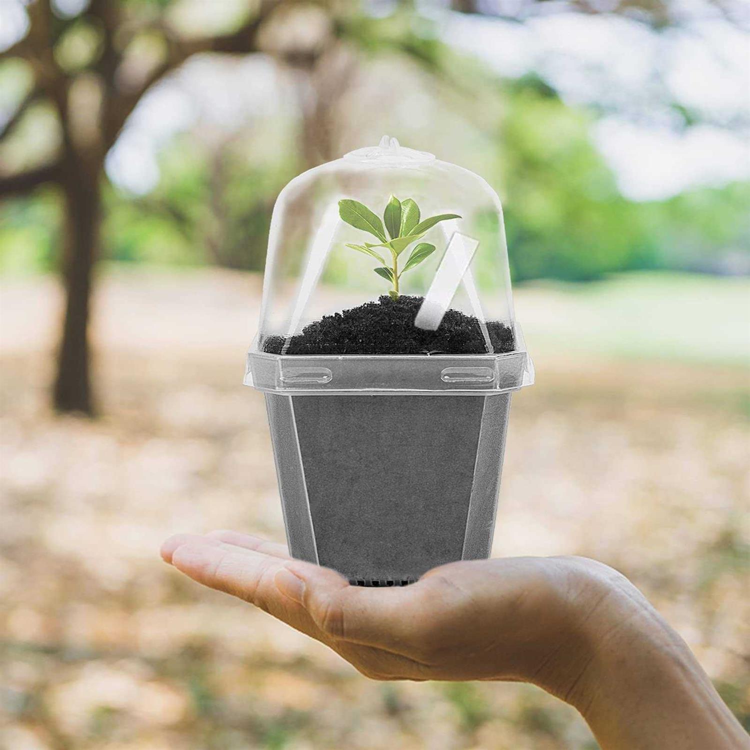 EBaokuup 10PCS Clear Plant Nursery Pots with Humidity Dome - Image 4