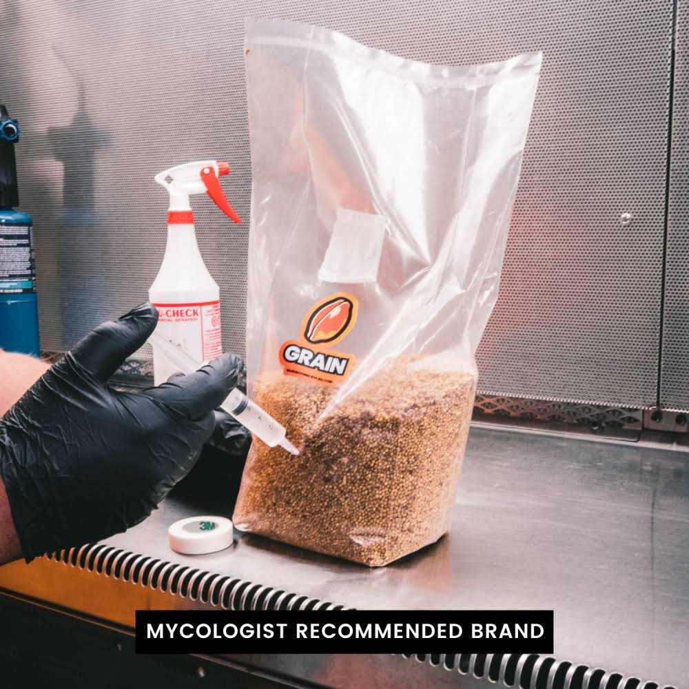 MushroomSupplies Grain Spawn Bag 3lb - Image 3