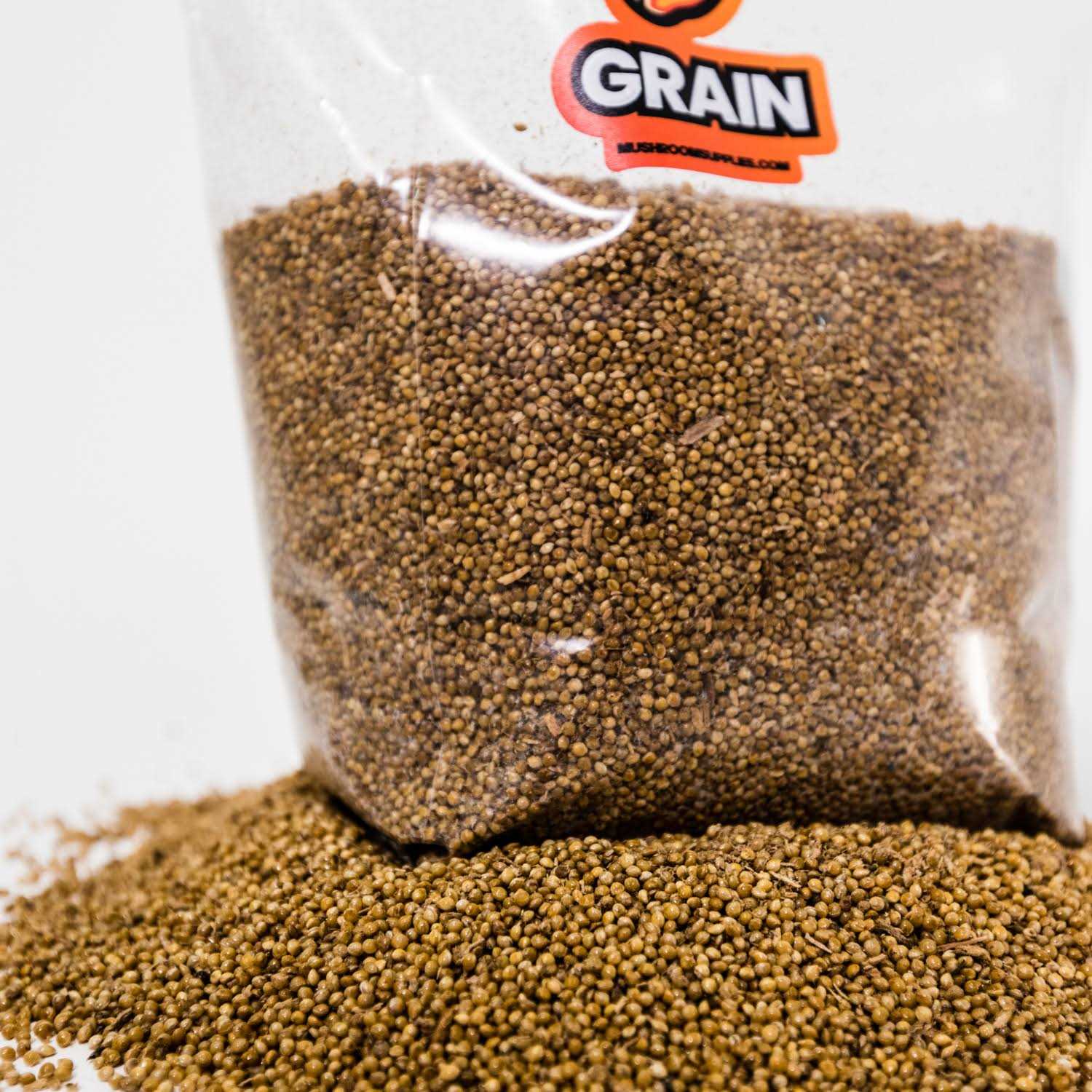 MushroomSupplies Grain Spawn Bag 3lb - Image 4